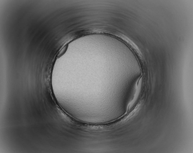 X0000087320801200705112136