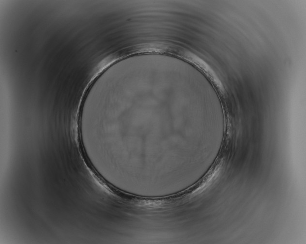 X0000087320802200705112136