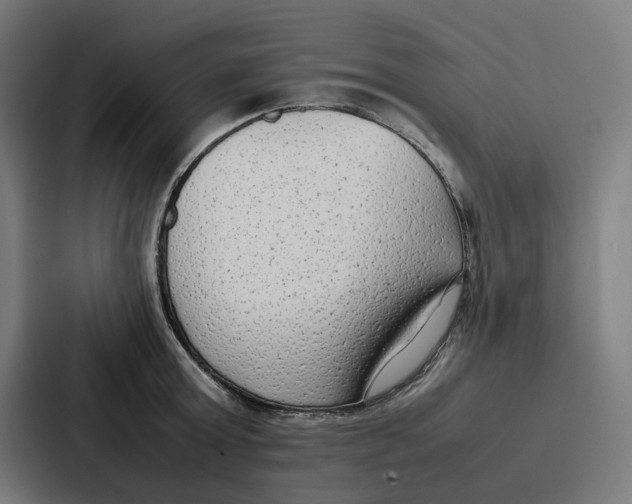 X0000087320803200705112136