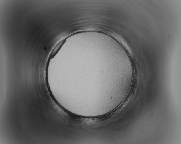 X0000087320805200705112136