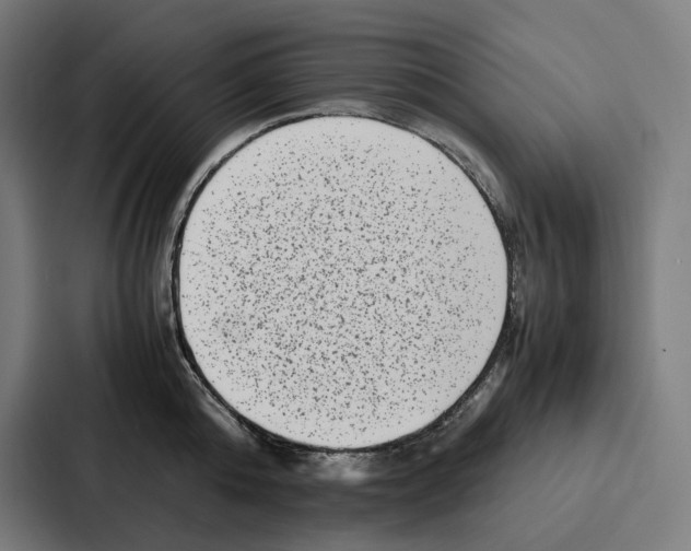 X0000087320808200705112136