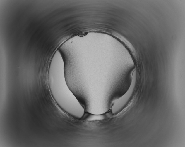 X0000087320809200705112136