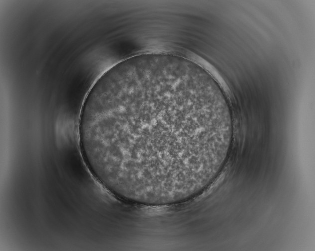 X0000087320810200705112136