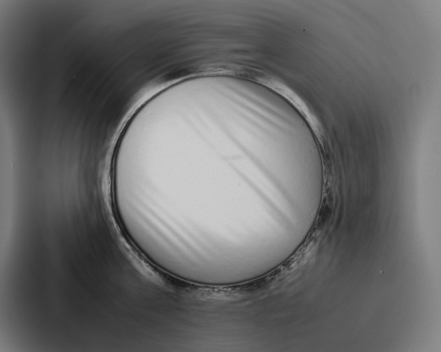 X0000087320811200705112136