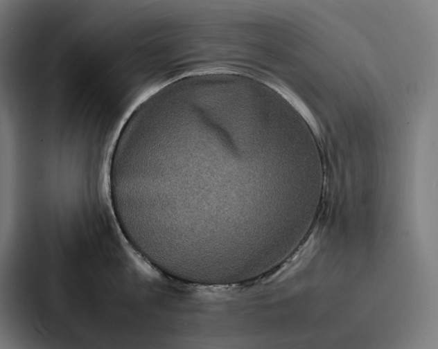 X0000087320813200705112136