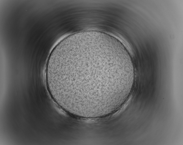 X0000087320814200705112136