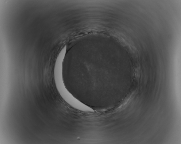 X0000087320818200705112135