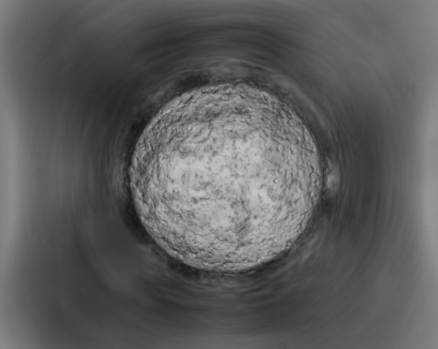 X0000087320819200705112135