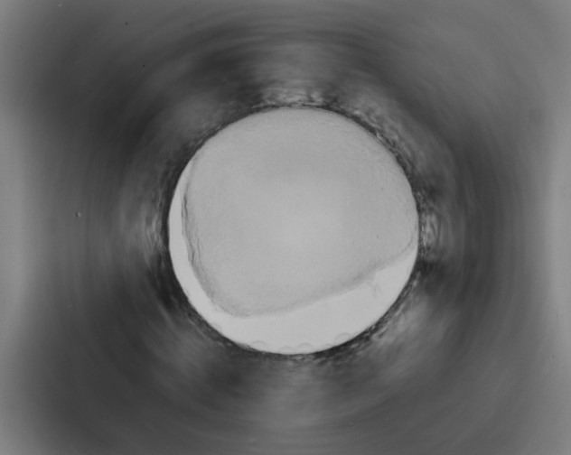 X0000087320820200705112135