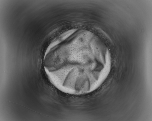 X0000087320821200705112135