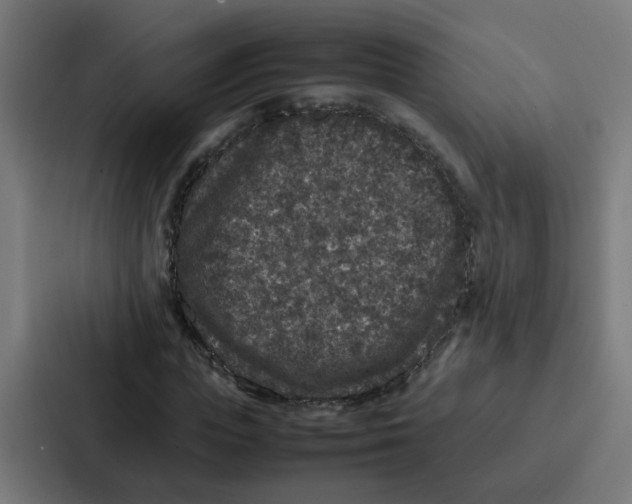 X0000087320823200705112135