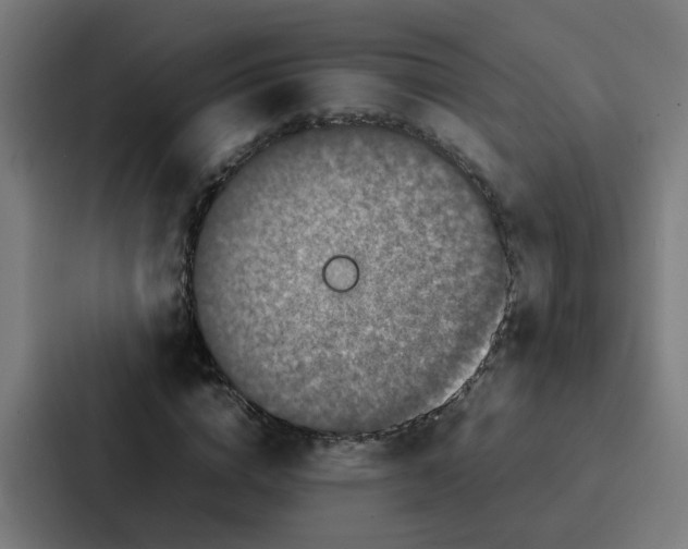 X0000087320824200705112135