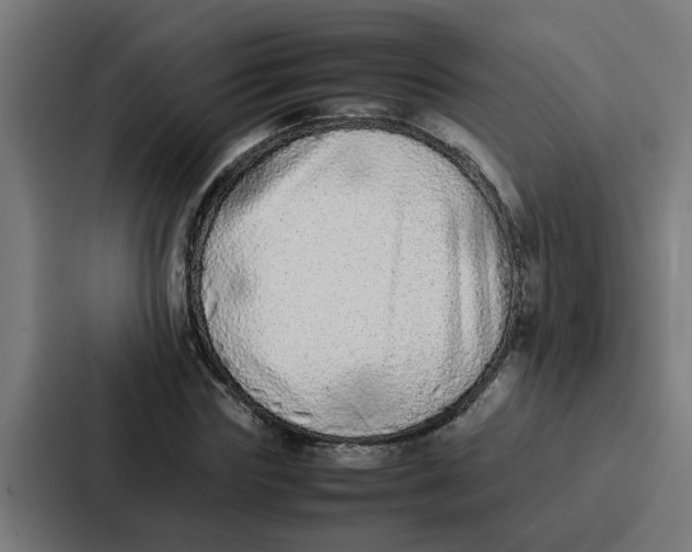 X0000087320827200705112135