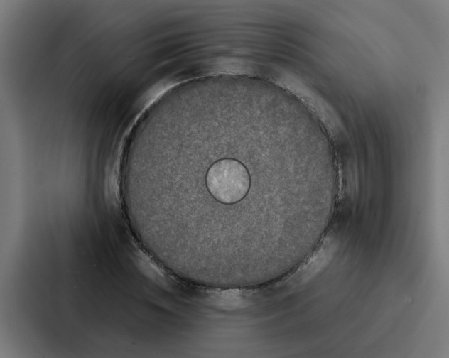 X0000087320828200705112135