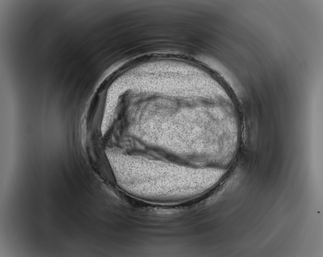 X0000087320829200705112135