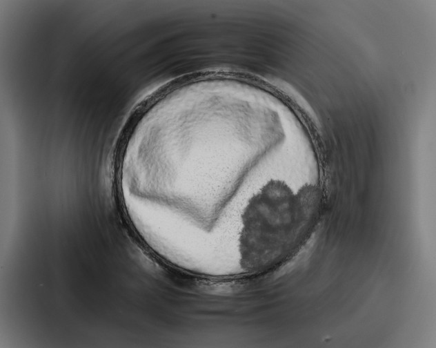 X0000087320831200705112135