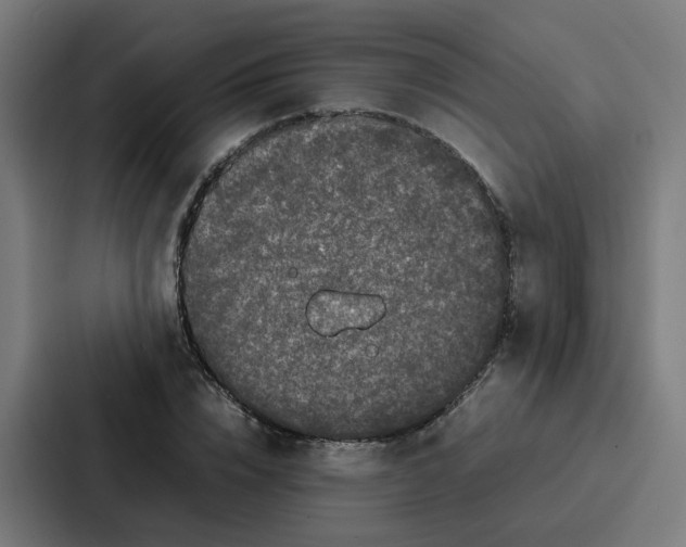 X0000087320832200705112135