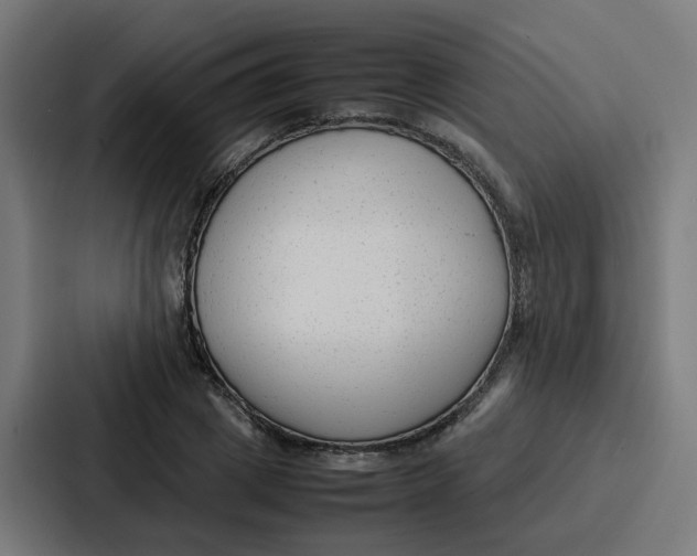 X0000087320833200705112135