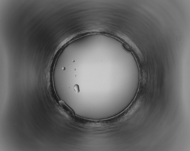 X0000087320834200705112135