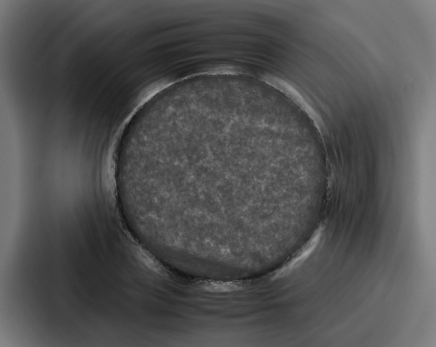 X0000087320835200705112135