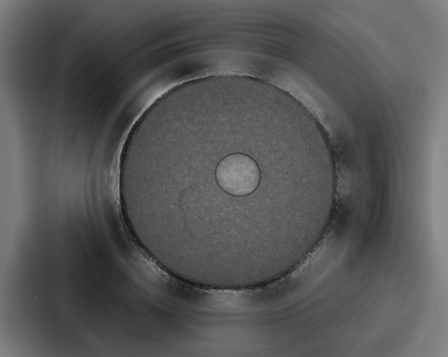 X0000087320836200705112135