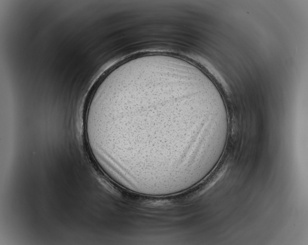 X0000087320837200705112135