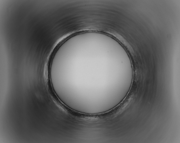 X0000087320838200705112135