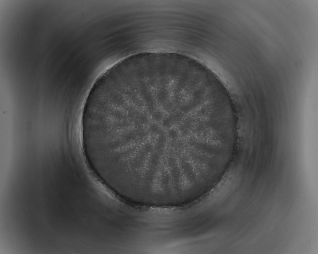 X0000087320840200705112135