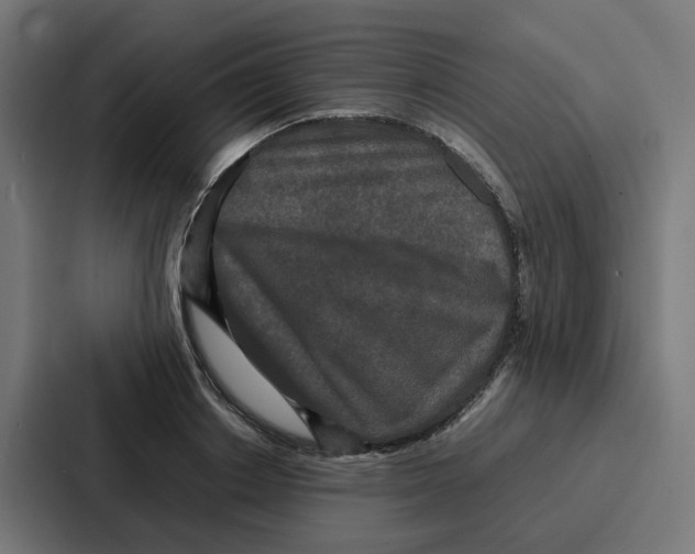 X0000087320842200705112135