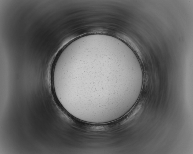 X0000087320843200705112135