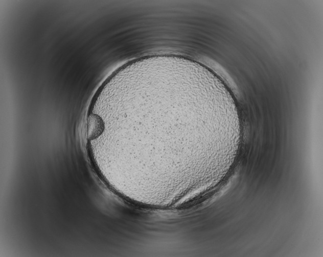 X0000087320844200705112135