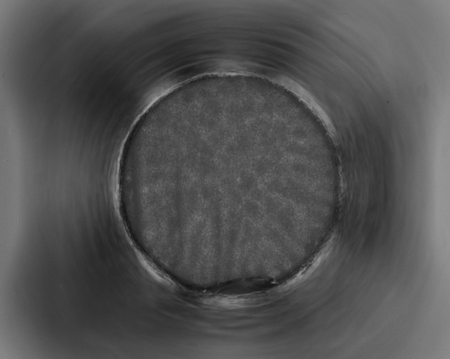 X0000087320845200705112135