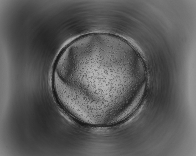 X0000087320846200705112135