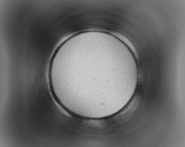 X0000087320847200705112135