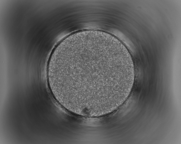 X0000087320848200705112135