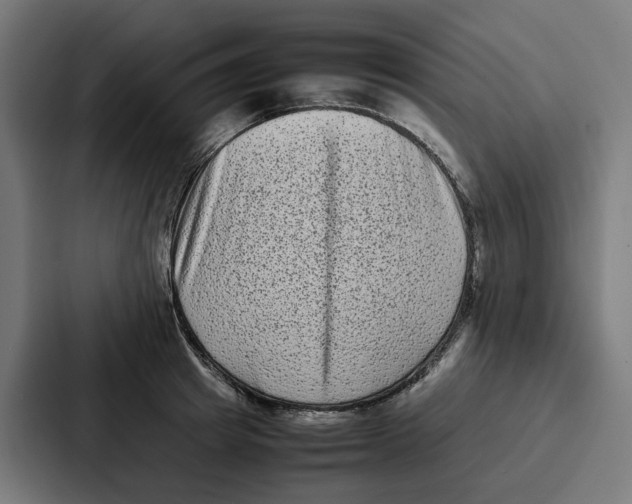 X0000087320849200705112135