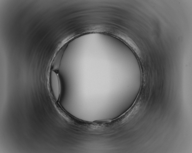 X0000087320850200705112135