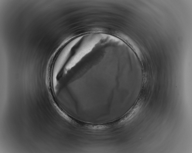 X0000087320851200705112135