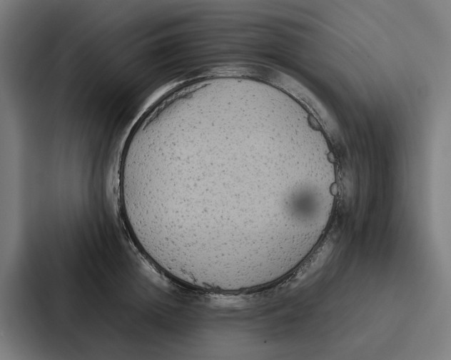 X0000087320852200705112135