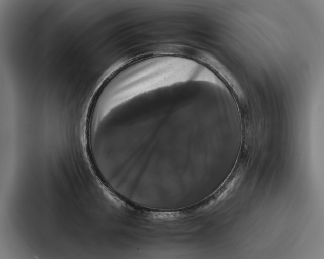 X0000087320853200705112135