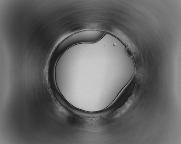 X0000087320854200705112135