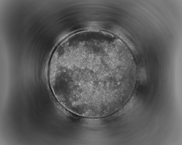 X0000087320856200705112135