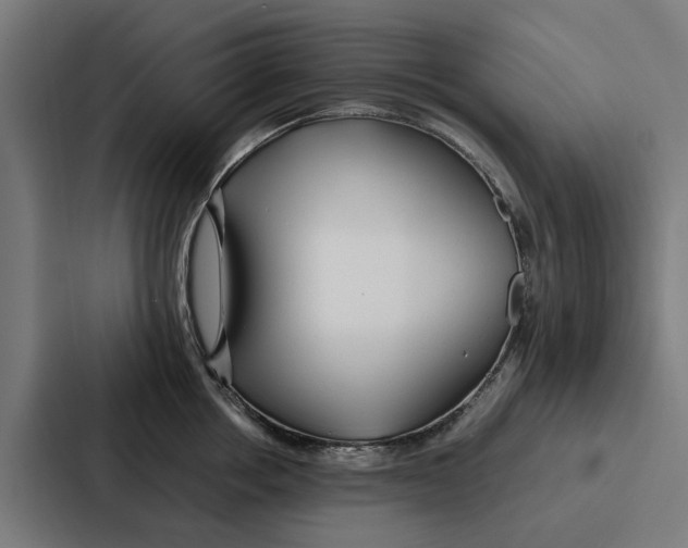 X0000087320858200705112135