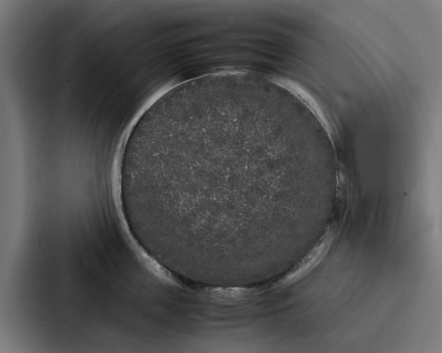 X0000087320859200705112135