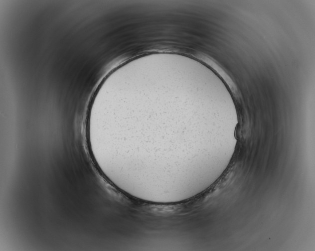 X0000087320861200705112135