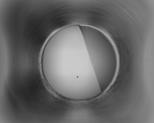 X0000087320864200705112136