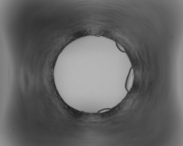 X0000087320865200705112135