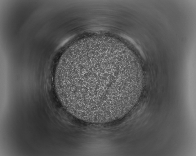 X0000087320871200705112135