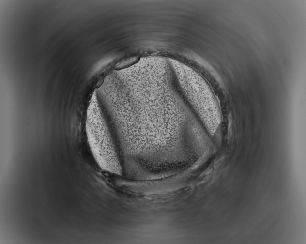 X0000087320872200705112135