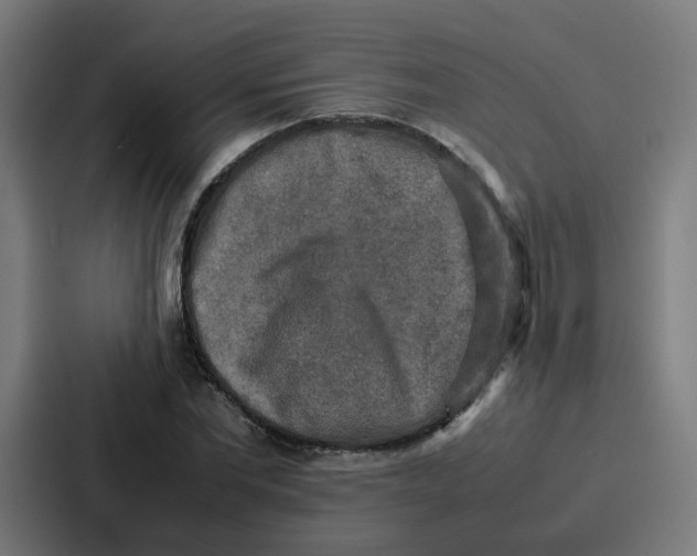 X0000087320877200705112135